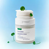 Eqqualberry - Swimming Pool Toner Pads 70 Pads