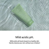 Abib - Acne Foam Cleanser Heartleaf Foam 150ml