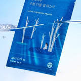 Round Lab - Birch Juice Moisturizing Double Gel Mask 23ml