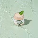 Round Lab - Mugwort Calming Cream 80ml